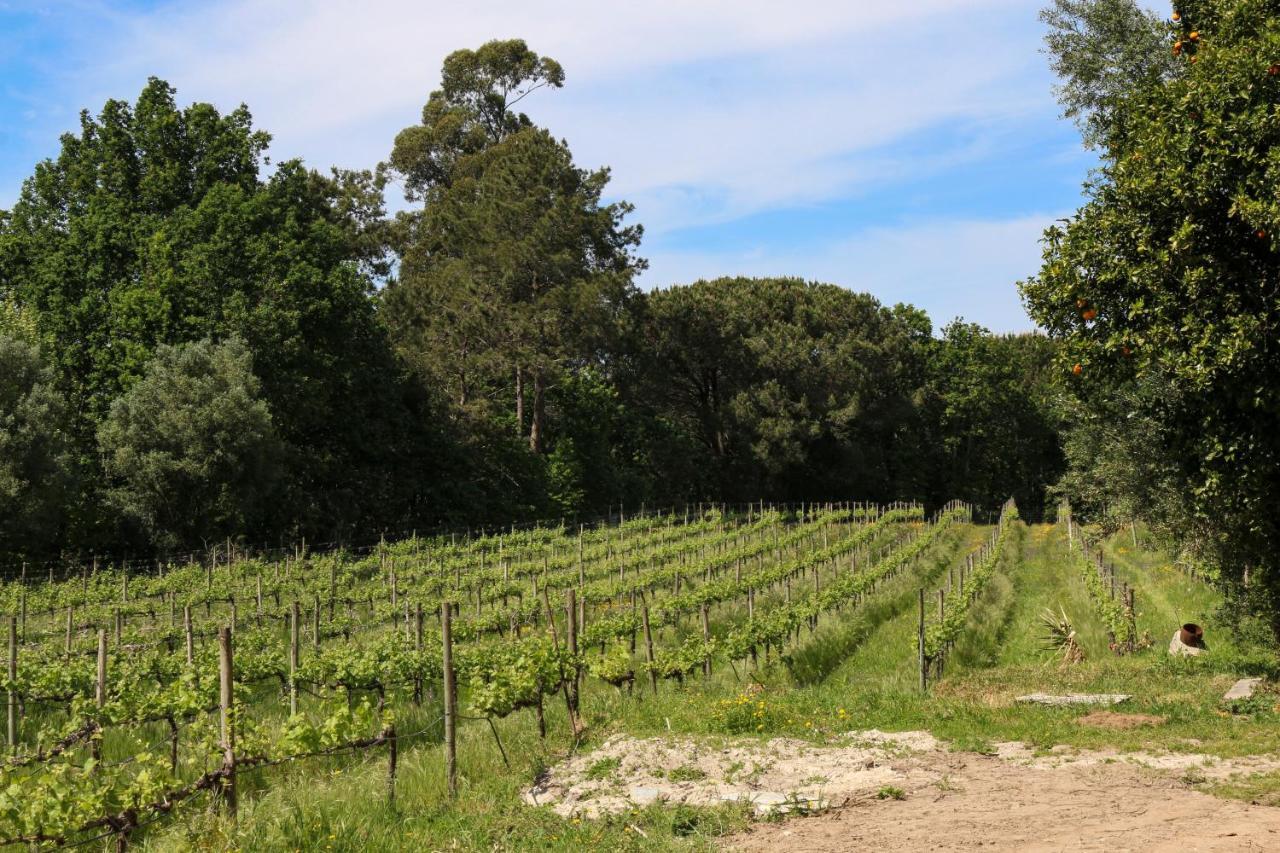 Quinta De Chousas - Braga - Agroturismo Ngoại thất bức ảnh